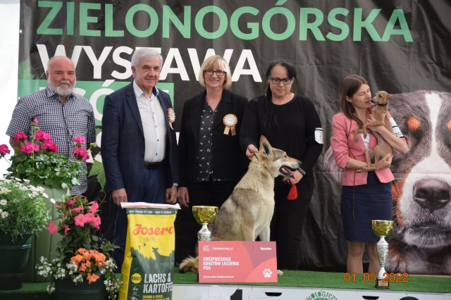 pieski3d 155